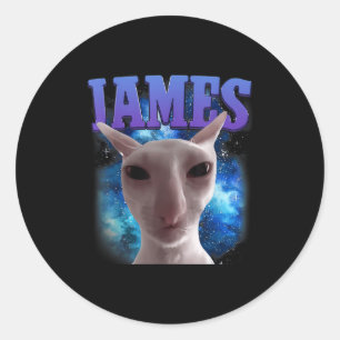 James The Cat Meme Grappige Gekke Katten Brainrot Ronde Sticker