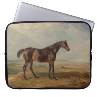 James Ward - Dr. Syntax, een vos renpaard Laptop Sleeve