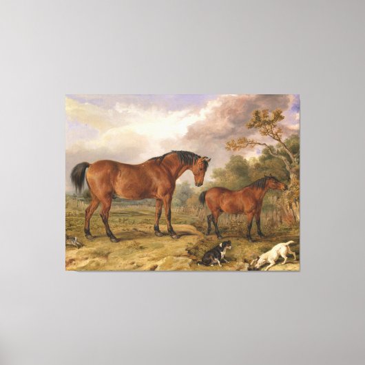 James Ward Paardenschilderij Canvas Afdruk (Voorkant)
