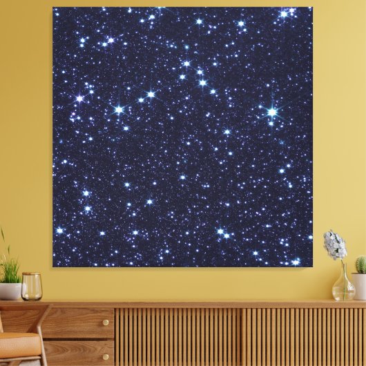 James Webb Space Telescope Grote Magelhaense Wolk Canvas Afdruk (Insitu (Woonkamer))