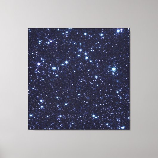 James Webb Space Telescope Grote Magelhaense Wolk Canvas Afdruk (Voorkant)