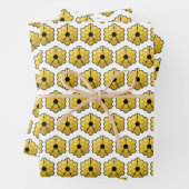 James Webb Space Telescope JWST Mirror Patroon Inpakpapier Vel (In situ)