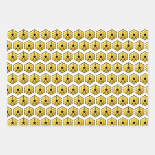 James Webb Space Telescope JWST Mirror Patroon Inpakpapier Vel