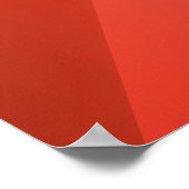 James Webb Space Telescope. Poster (Hoek)