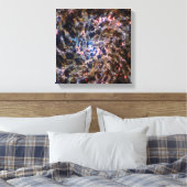 James Webb Space Telescope Spiraalstelsel IC 5332 Canvas Afdruk (Insitu (Slaapkamer))