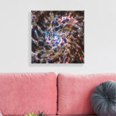 James Webb Space Telescope Spiral Galaxy IC 5332 Canvas Afdruk (Insitu (Woonkamer))