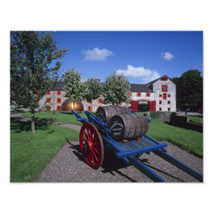Jamesons Whisky Erfgoedcentrum, Midleton, Foto Afdruk