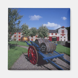 Jamesons Whisky Erfgoedcentrum, Midleton, Magneet