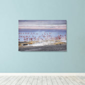 James's Flamingo, Phoenicoparrus jamesi Canvas Afdruk (Insitu (Houten vloer))