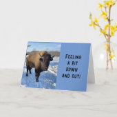 **JAMMER, IK MIS JE** KAART (Gele Bloem)