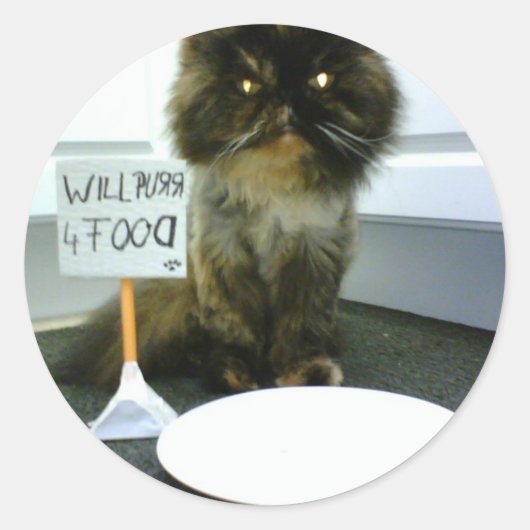 Jammer Kat Spint voor voedsel Ronde Sticker (Voorkant)