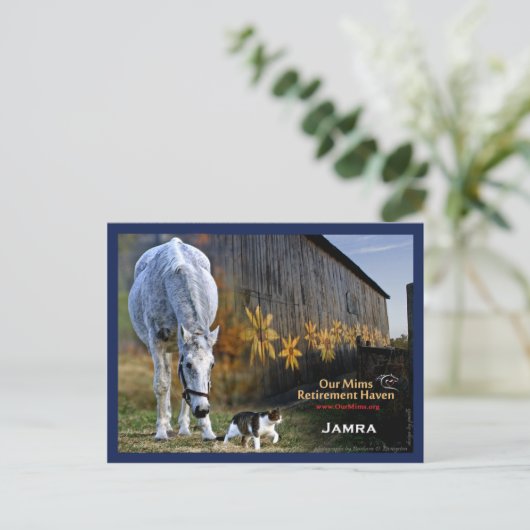 Jamra Briefkaart (Staand voorkant)