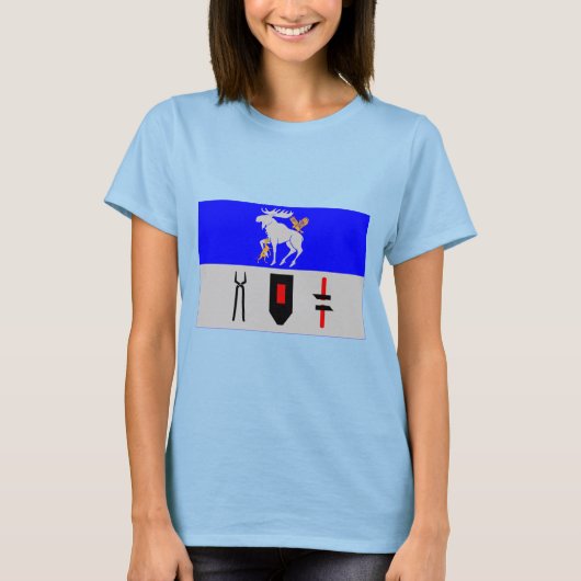 Jämtlands län flag t-shirt (Voorkant)