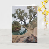 Jamul Ca Kaart (Gele Bloem)