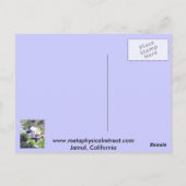 Jamul vlucht briefkaart (Achterkant)