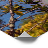 Jan07 2081, The Road to Hana - Maui, Hawaii Poster (Hoek)