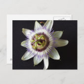 Jan 2 - opgeleide brainfart briefkaart (Voorkant / Achterkant)