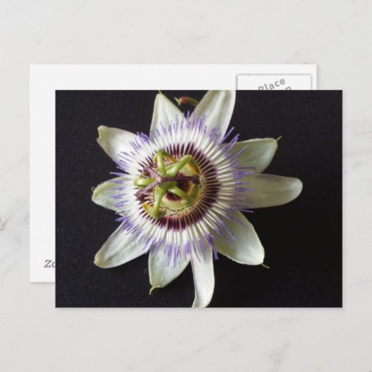 Jan 2 - opgeleide brainfart briefkaart (Voorkant / Achterkant)