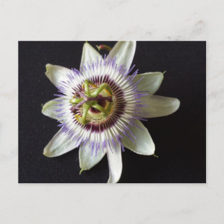 Jan 2 - opgeleide brainfart briefkaart