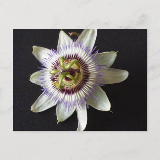 Jan 2 - opgeleide brainfart briefkaart (Voorkant)