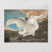 Jan Asselijn De bedreigde zwaan schilderkunst Prin Briefkaart (Voorkant)