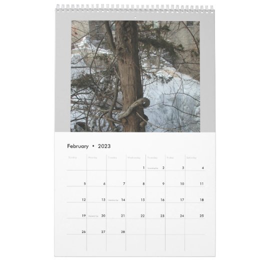 Jan Fitzgerald Fotografie Agenda van Janz Kalender (Feb 2023)