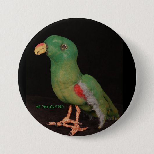 Jan Shackelford Parrot Button Electus (Voorkant)