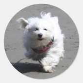 Jan Sticker (Voorkant)