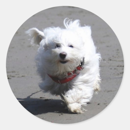 Jan Sticker (Voorkant)