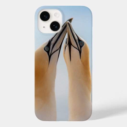 Jan-van-genten Helgoland Duitsland Morus Case-Mate iPhone Case (Achterkant)