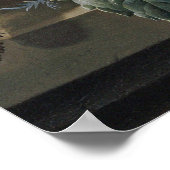 Jan Van Huysum - Poppies, Hollyhock, Morning Glory Poster (Hoek)