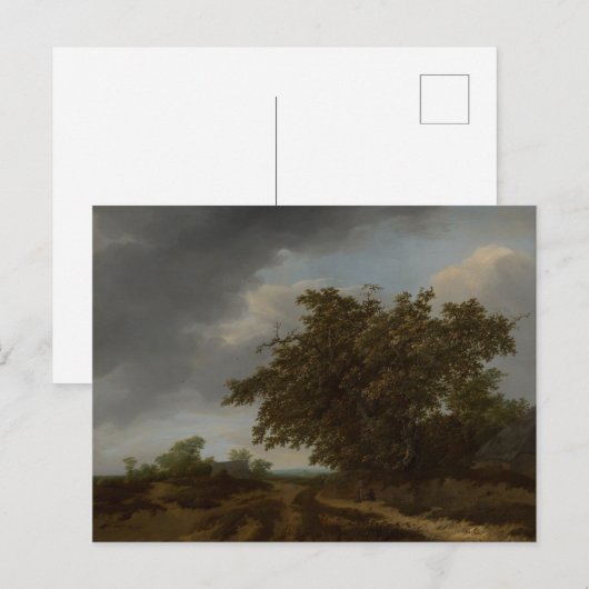 Jan Vermeer, Landschap aan de rand van de duinen Briefkaart (Voorkant / Achterkant)