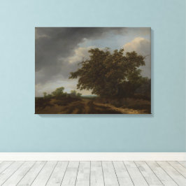 Jan Vermeer, Landschap aan de rand van de duinen Canvas Afdruk