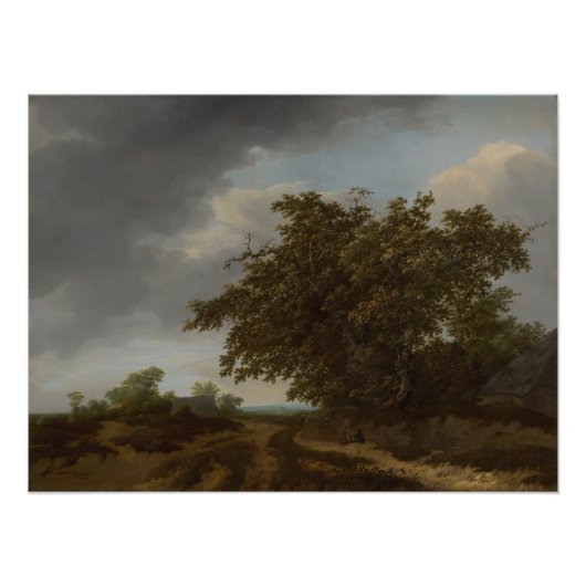 Jan Vermeer, Landschap aan de rand van de duinen Foto Afdruk (Voorkant)