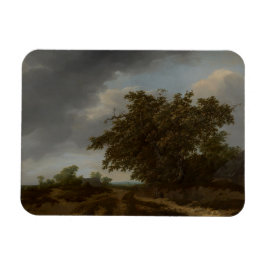 Jan Vermeer, Landschap aan de rand van de duinen Magneet