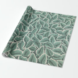 Jane Austens behang Cadeaupapier