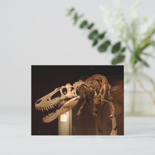 Jane - Uitzicht #6 Briefkaart (Staand voorkant)