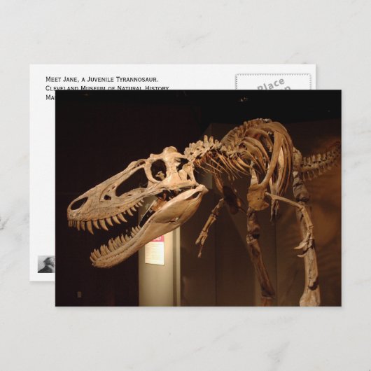 Jane - Uitzicht #6 Briefkaart (Voorkant / Achterkant)