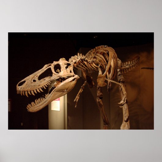 Jane - Uitzicht #6 Poster (Voorkant)