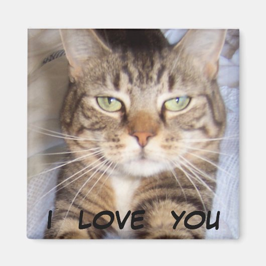 Jane zegt..ik HOU VAN JE Magneet (Voorkant)