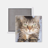 Jane zegt .. UW PERFECTE Magneet (Voorkant / Achterkant)