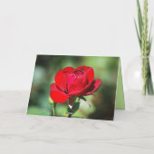 Janet Happy Birthday Red Rose Kaart (Achterkant)