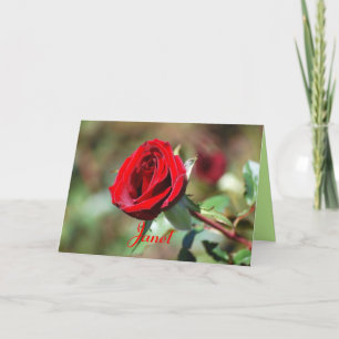 Janet Happy Birthday Red Rose Kaart