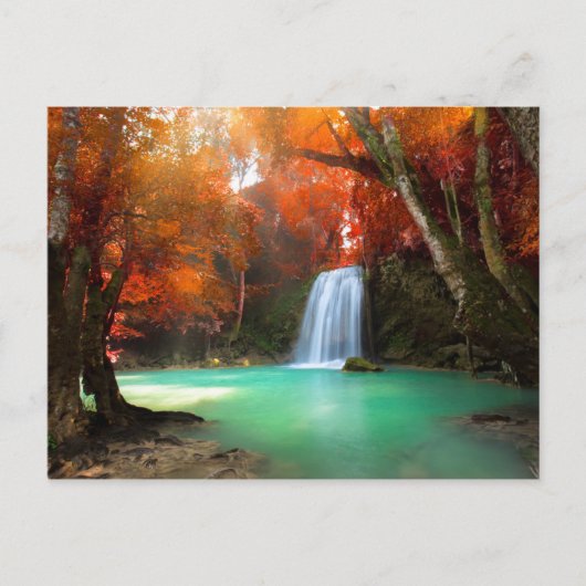 Jangle Landscape | Kanchanaburi, Thailand Briefkaart (Voorkant)