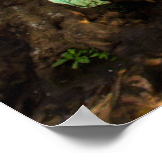 Jangle Landscape | Kanchanaburi, Thailand Poster (Hoek)