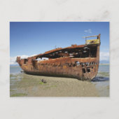 Janie Seddon Shipwreck, Motueka, Nelson Briefkaart (Voorkant)