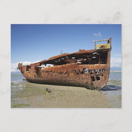 Janie Seddon Shipwreck, Motueka, Nelson Briefkaart (Voorkant)