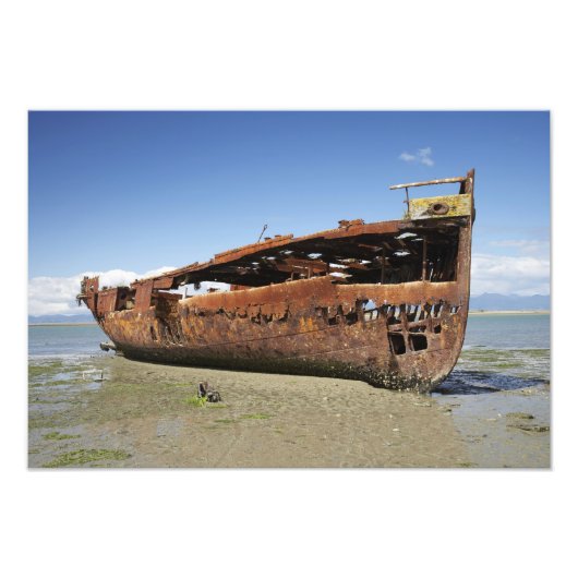 Janie Seddon Shipwreck, Motueka, Nelson Foto Afdruk (Voorkant)
