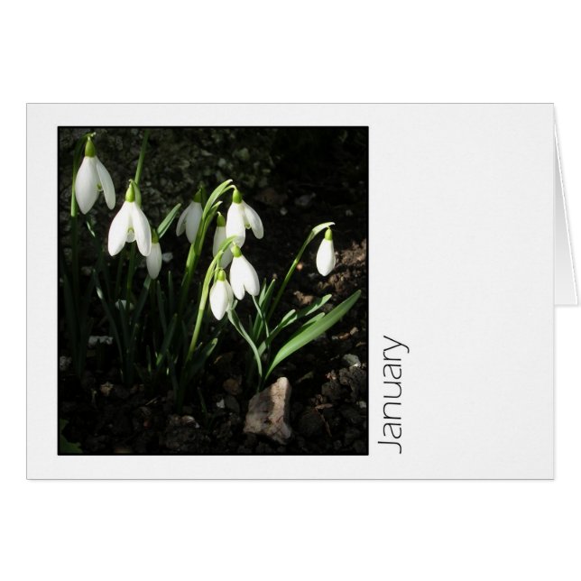 Januari (Voorkant Horizontaal)