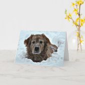 Januari Birthday Humor met Cute Dog Kaart (Gele Bloem)